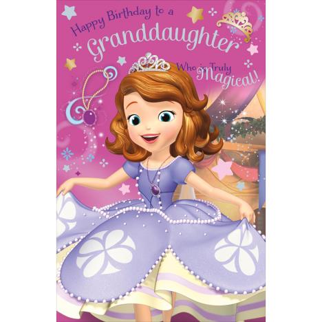 Granddaughter Sofia the First Activity Birthday Card £4.55